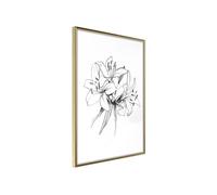 Affiche Murale Encadrée "Sketch of Lillies" 21 x 30 cm Or