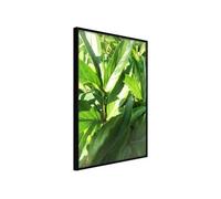 Poster et affiche - Somewhere in the Garden - 30x45 Artgeist (32700) NOIR