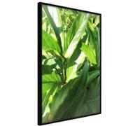 Poster et affiche - Somewhere in the Garden - 30x45 Artgeist (32700) NOIR