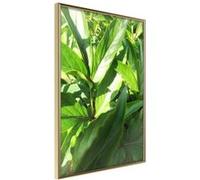 Poster et affiche - Somewhere in the Garden - 40x60 Artgeist (32708)