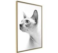 Affiche Murale Encadrée "Sphinx" 21 x 30 cm Or G