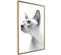 Affiche Murale Encadrée "Sphinx" 40 x 60 cm Or G