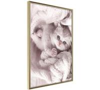 Affiche Murale Encadrée "Tangled in Sweater" 30 x 42 cm Or Multicolore G