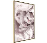 Affiche Murale Encadrée "Tangled in Sweater" 40 x 60 cm Or G