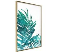 Affiche Murale Encadrée Teal Palm on White Background 21 x 30 cm Or