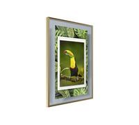 Affiche Murale Encadrée "Toucan in the Frame" 21 x 30 cm Or