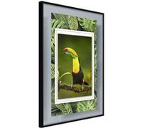 Affiche Murale Encadrée Toucan in the Frame 30 x 42 cm Noir NOIR