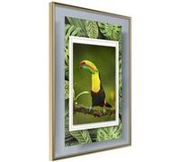 Affiche Murale Encadrée Toucan in the Frame 30 x 42 cm Or