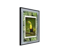 Poster et affiche - Toucan in the Frame - 40x60 Artgeist (35196) NOIR