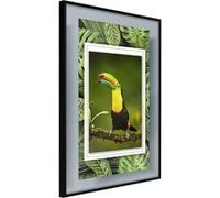 Poster et affiche - Toucan in the Frame - 40x60 Artgeist (35196) NOIR