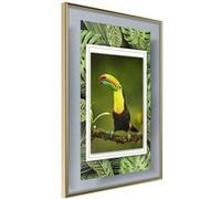 Poster et affiche - Toucan in the Frame - 40x60 Artgeist (35198)