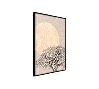 Poster et affiche - Tree in the Morning - 40x60 (35352)