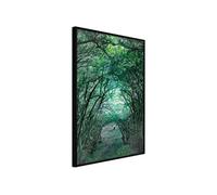 Affiche Murale Encadrée "Tree Tunnel" 40 x 60 cm Noir
