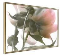 Affiche Murale Encadrée "Under the Flower" 30 x 20 cm Or