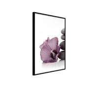 Affiche Murale Encadrée Violet Harmony 21 x 30 cm Noir NOIR