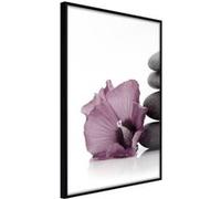 Affiche Murale Encadrée Violet Harmony 21 x 30 cm Noir NOIR