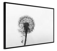 Affiche Murale Encadrée "Waiting for the Wind" 30 x 20 cm Noir Multicolore G