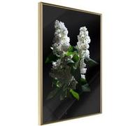 Affiche Murale Encadrée "White Lilac" 21 x 30 cm Or Multicolore G
