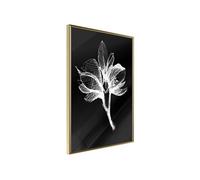 Affiche Murale Encadrée White Plant 21 x 30 cm Or