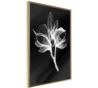 Affiche Murale Encadrée White Plant 30 x 42 cm Or