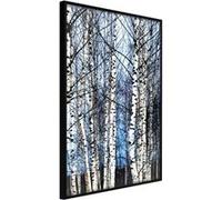 Poster et affiche - Winter Birch Trees - 20x30 (37062)