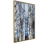 Affiche Murale Encadrée Winter Birch Trees 21 x 30 cm Or