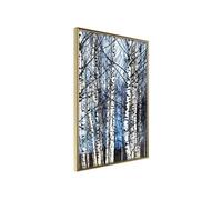 Affiche Murale Encadrée "Winter Birch Trees" 30 x 42 cm Or
