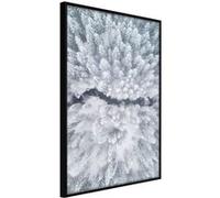Poster et affiche - Winter Forest From a Bird's Eye View - 30x45 (37104)