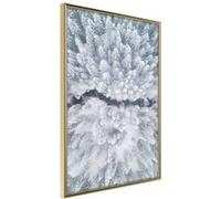 Poster et affiche - Winter Forest From a Bird's Eye View - 30x45 (37106)