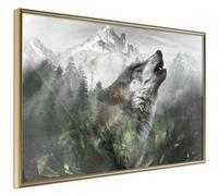 Affiche Murale Encadrée "Wolf's Territory" 30 x 20 cm Or G