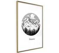 Affiche Murale Encadrée Wonders of Nature 21 x 30 cm Or