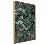 Affiche Murale Encadrée "World form High Above" 21 x 30 cm Or Multicolore G