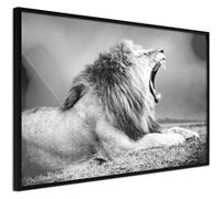 Affiche Murale Encadrée "Yawning Lion" 60 x 40 cm Noir Multicolore G
