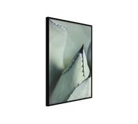 Affiche Murale Encadrée "Young Leaf of Agave" 21 x 30 cm Noir Multicolore G