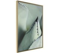 Affiche Murale Encadrée "Young Leaf of Agave" 30 x 42 cm Or Multicolore G