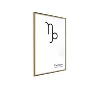 Affiche Murale Encadrée "Zodiac Capricorn II" 40 x 60 cm Or