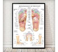 Affiche Murale Simple Représentant Les Points D'Acupuncture, L'Anatomie Du Pied Et La Réflexologie Plantaire ; À Imprimer Dans La Chambre Ou Le Salon Pour La Décoration Intérieure. 60X90Cm Sans Cadre