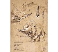 Affiche murale vintage représentant des créatures mystérieuses du monde des sorciers, peinture sur toile, art féérique, pour décoration de chambre à coucher ou de maison 30x40cm sans cadre
