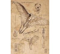 Affiche murale vintage représentant des créatures mystérieuses du monde des sorciers, peinture sur toile, art féérique, pour décoration de chambre à coucher ou de maison 30x40cm sans cadre
