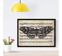 Affiche Nacnique de la résidence de Motilla. Feuilles de Papillons. Décoration de Papillons et Papillons. Taille A4 avec Cadre
