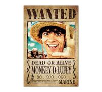Affiche One Piece Wanted Monkey D. Luffy, Erik