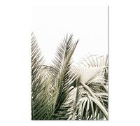 Affiche Palmier canaria - 40x60cm - made in France