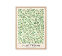 Affiche Peléton Branche de Saule 70x100