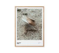 Affiche Peléton Gravity/forces 70x100