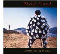 Affiche - Pink Floyd - Delicate Sound of Thunder 12 Print Cover - 31x31cm G
