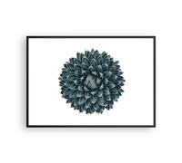 Affiche Poster 100x70cm Tableaux Image Photo Agave Reine Victoria Wall Art