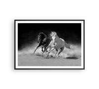 Affiche Poster 100x70cm Tableaux Image Photo Andalouse Chevaux Galop Wall Art