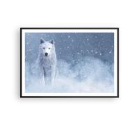 Affiche Poster 100x70cm Tableaux Image Photo Blanc Loup Neige Wall Art