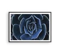 Affiche Poster 100x70cm Tableaux Image Photo Bleu Cactus Fleur Wall Art