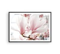 Affiche Poster 100x70cm Tableaux Image Photo Brindille Magnolia Fleur Wall Art